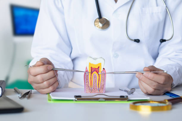 Best Emergency Cosmetic Dentistry in Mineral Wells, TX